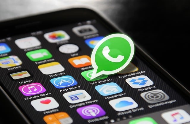 Qué hacer para respaldar las conversaciones de WhatsApp Business