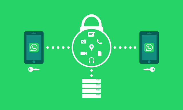 Qué hacer para respaldar las conversaciones de WhatsApp Business